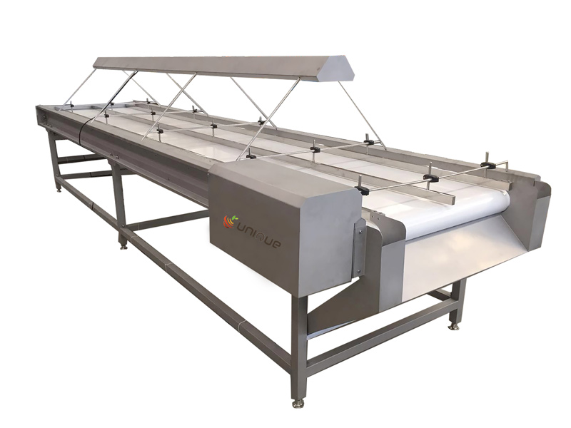 Selecting conveyor with lamp