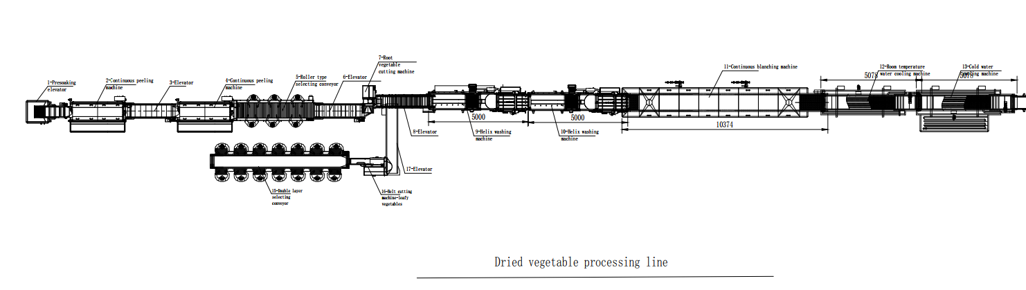 Dried vegetable processing line