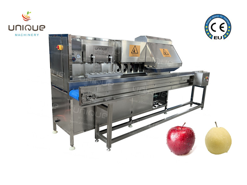 Apple peeling machine